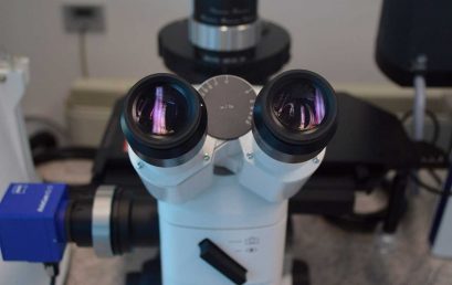 facultatea_stiinta_materialelor_04