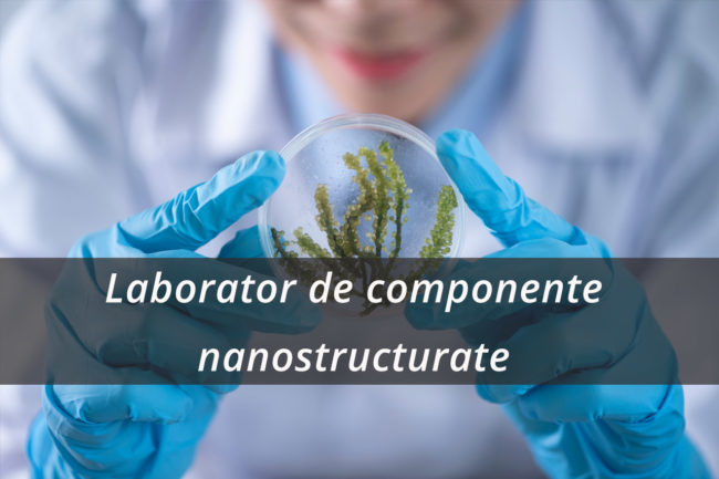 Laborator de componente nanostructurate pentru senzori biomedicali