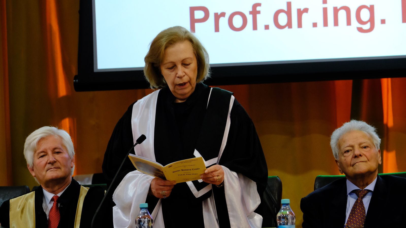 UPB DHC Prof. Petre Dimo (19)