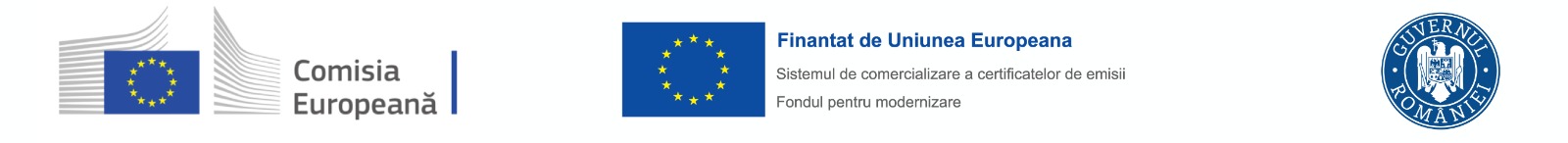 fond_proiect